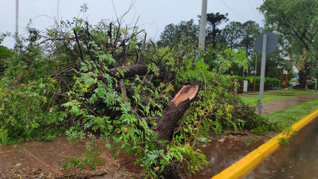 tormenta:-asistieron-a-familias-en-comandante-andresito-y-puerto-iguazu