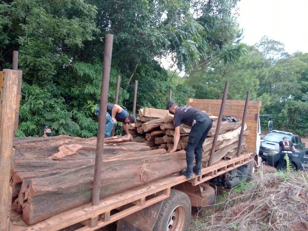 interceptan-camion-con-madera-nativa,-conducido-por-un-exconcejal