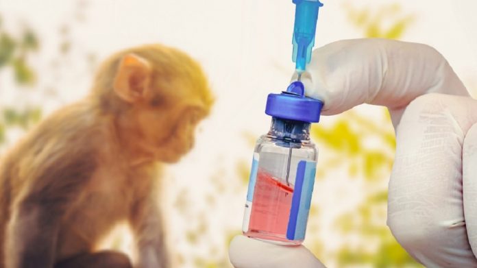 advierten-que-la-vacuna-no-alcanza-para-detener-la-epidemia-de-viruela-del-mono